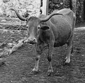 image108.jpg